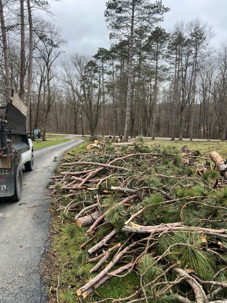 Yard cleanup in Uhrichsville, Ohio