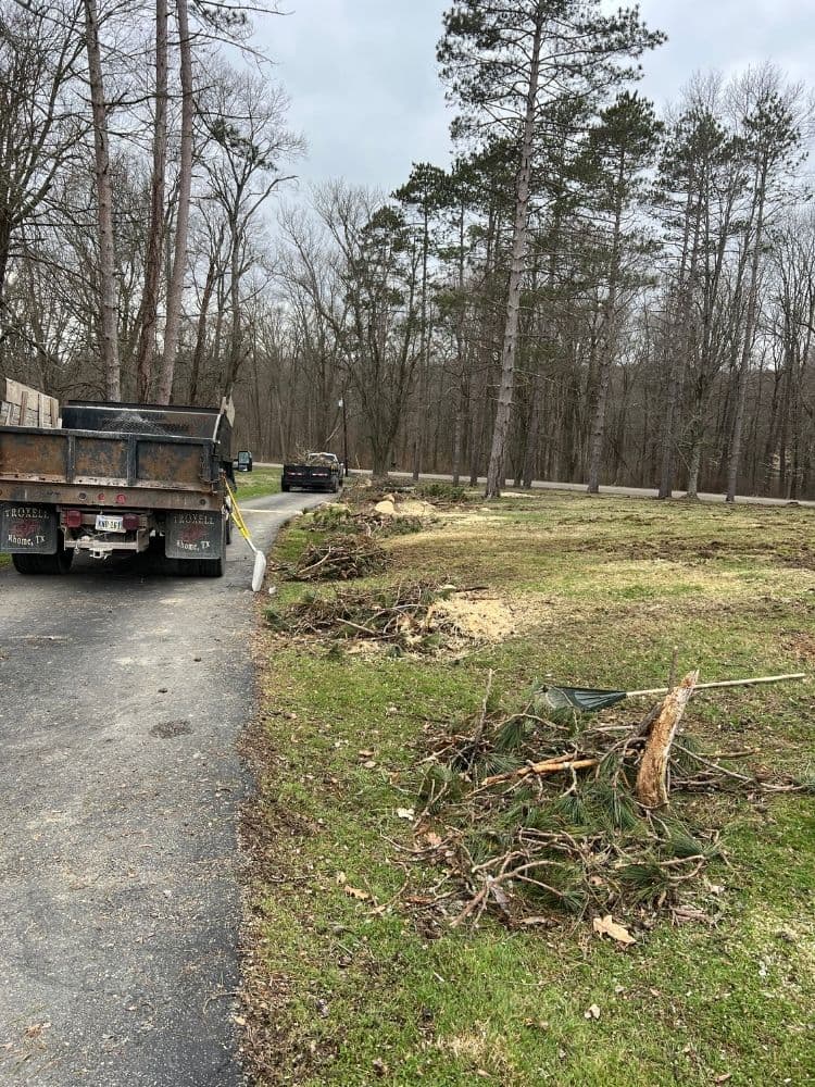 Yard cleanup: finished tidy beds and lawn edge
