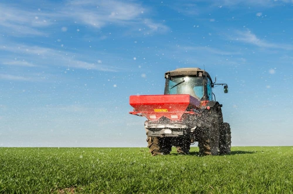 Healthy green lawn during the growing season