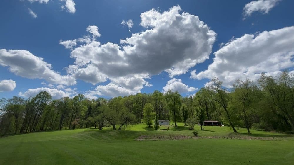 Freshly mowed lawn in a New Philadelphia, Ohio residential neighborhood