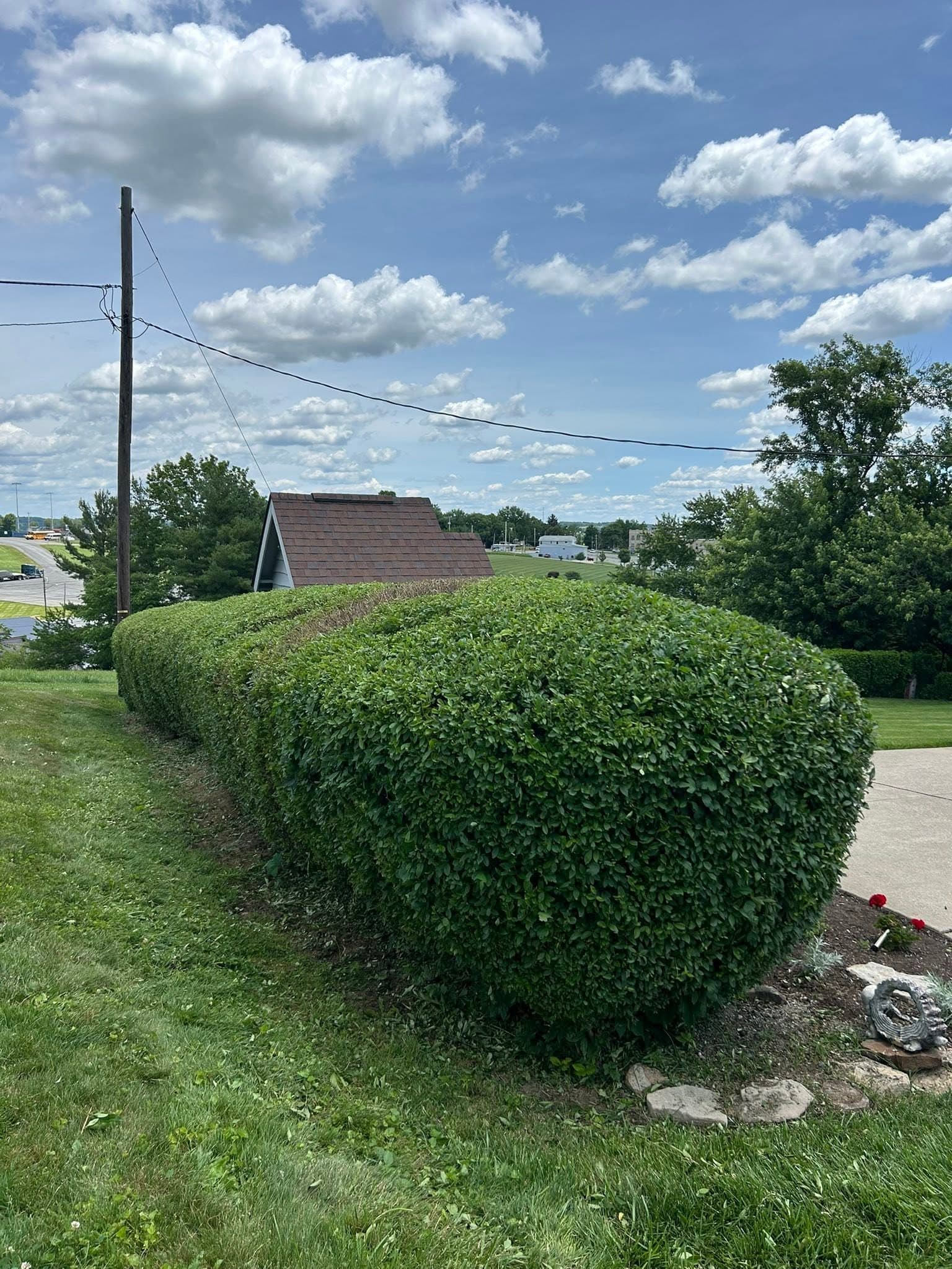 Trimmed hedgeline with clean edges after, view from the end, private residence, Sugarcreek, OH